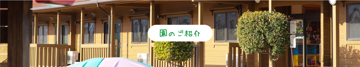 園のご紹介