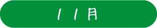 11月